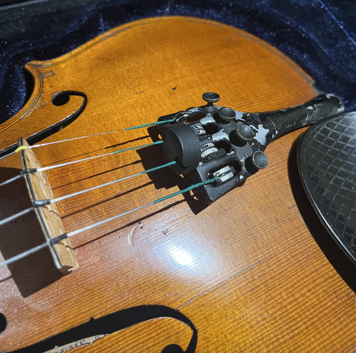 Middling fiddle